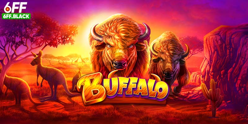 Game slot Crazy Buffalo độc đáo với tỷ lệ RTP cao